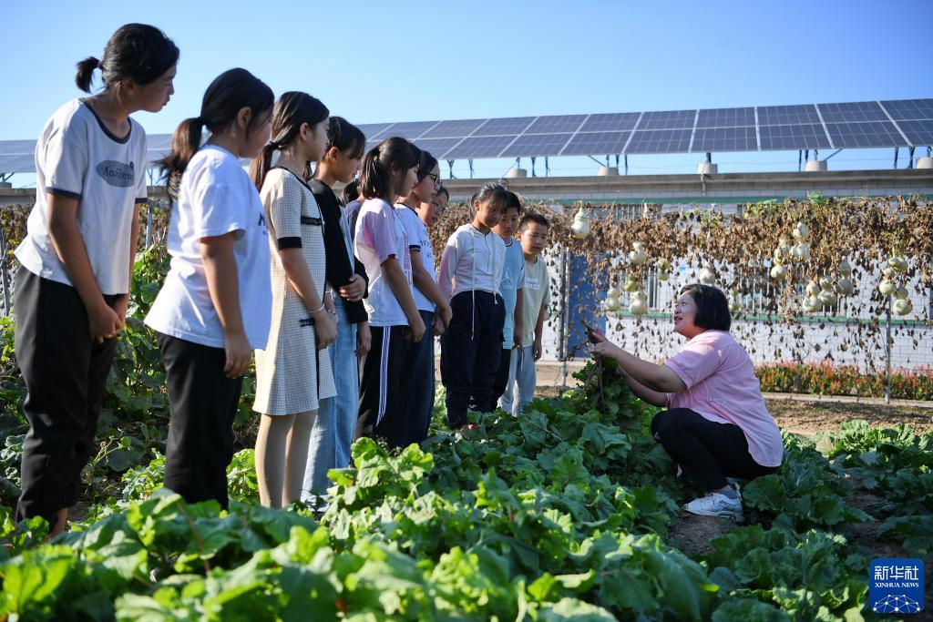免费送彩金的游戏平台